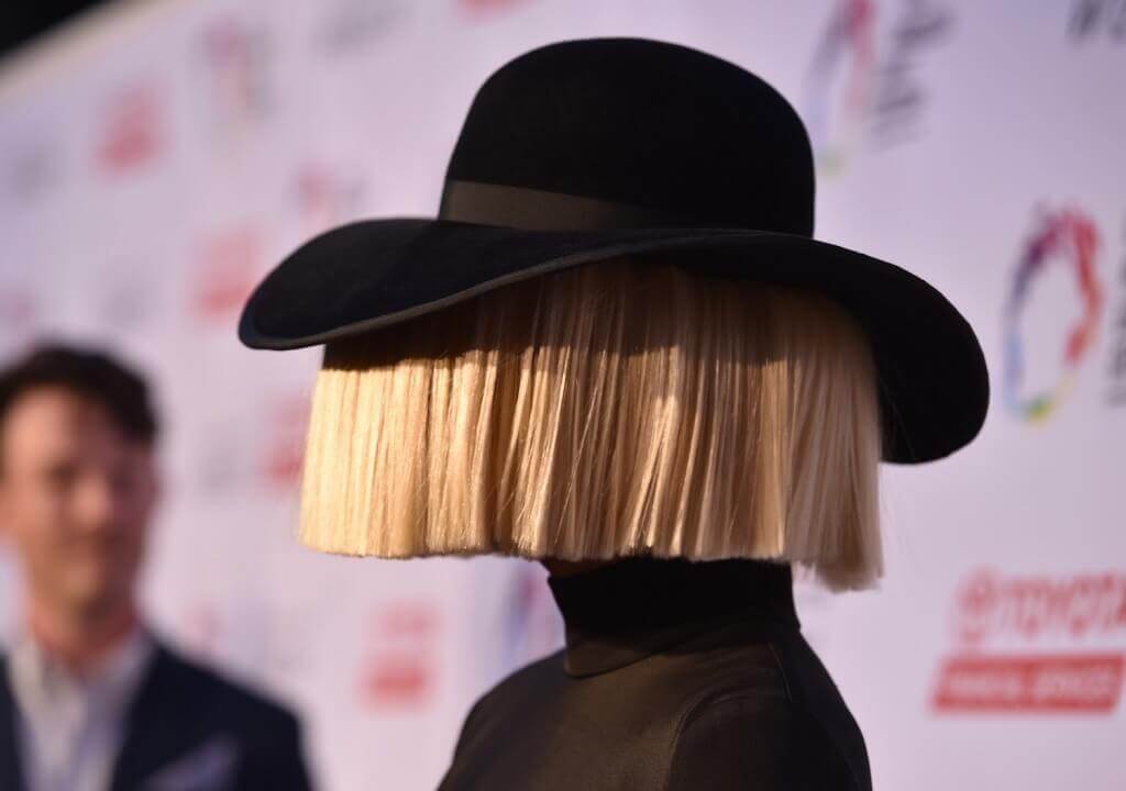 Gwen Stefani was offered Elastic Heart by Sia